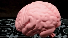 Brain injury concept