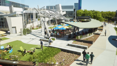Google Campus