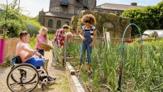 Children working in a garden in a rural area