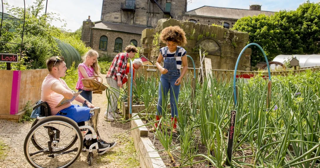Children working in a garden in a rural area
