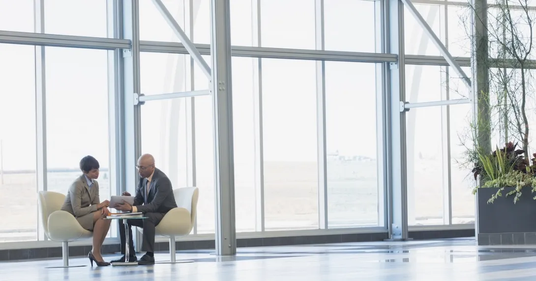 Two executives in a conference