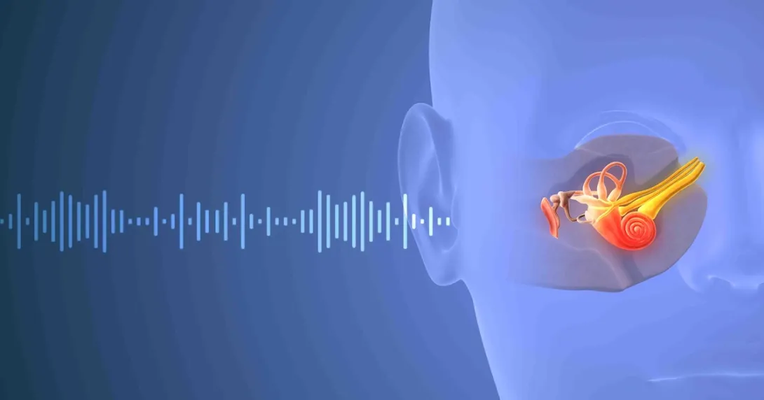 Depiction of a sound wave traveling through a human ear